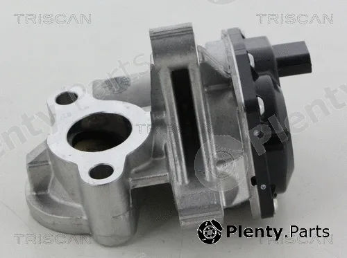 Kawe 881325041 — EGR Valve