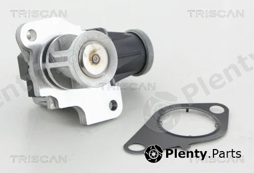 Kawe 881325040 — EGR Valve