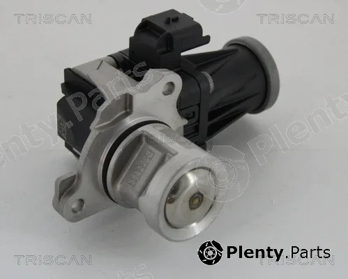 Kawe 881328005 — EGR Valve