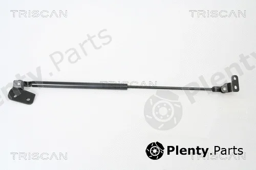Kawe 871018222 — Gas Spring, boot/cargo area