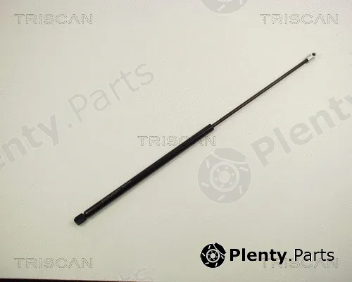 Kawe 87101517 — Gas Spring, boot/cargo area
