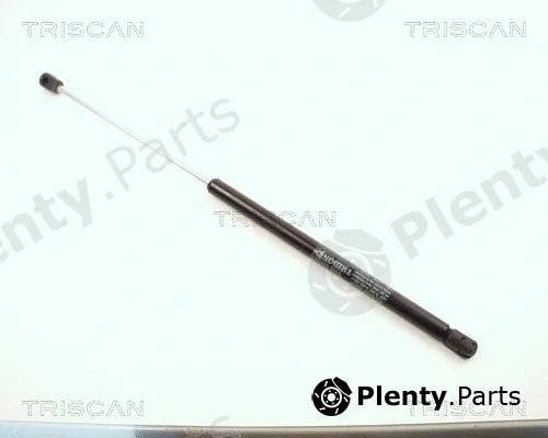 Kawe 87101516 — Gas Spring, boot/cargo area