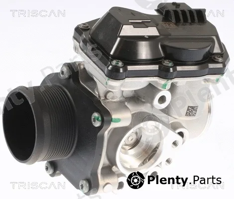 Kawe 881316002 — EGR Valve