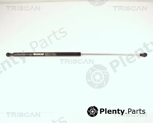 Kawe 87102501 — Gas Spring, boot/cargo area