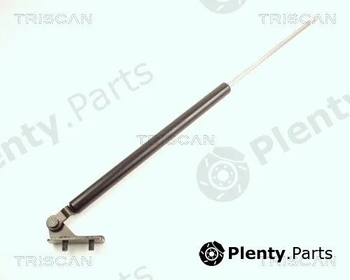 Kawe 871018203 — Gas Spring, boot/cargo area