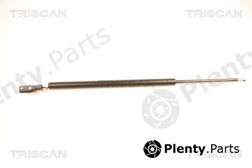 Kawe 871050231 — Gas Spring, boot/cargo area