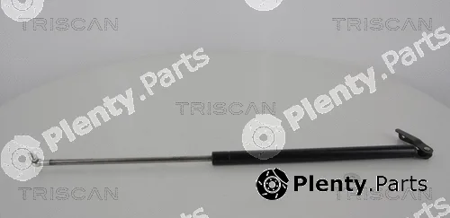 Kawe 871068206 — Gas Spring, boot/cargo area