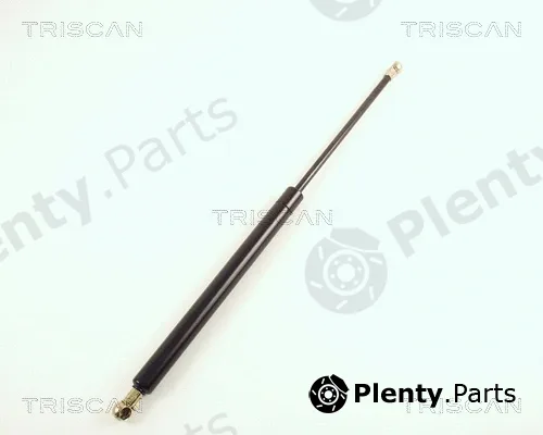 Kawe 871020200 — Gas Spring, boot/cargo area