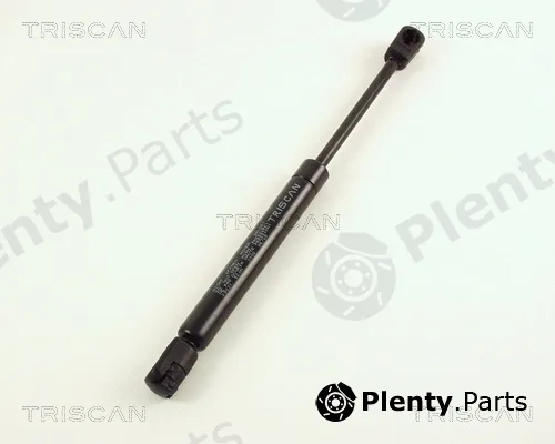 Kawe 871029231 — Gas Spring, boot/cargo area