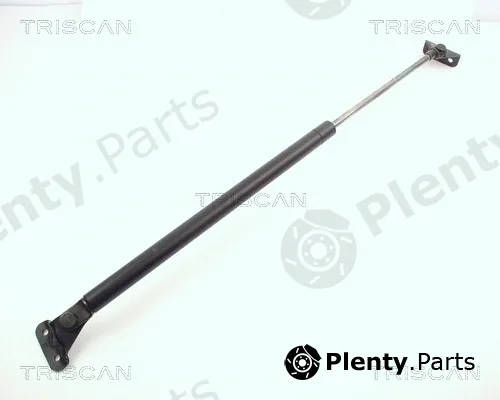 Kawe 871010202 — Gas Spring, boot/cargo area