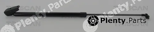 Kawe 871068219 — Gas Spring, boot/cargo area