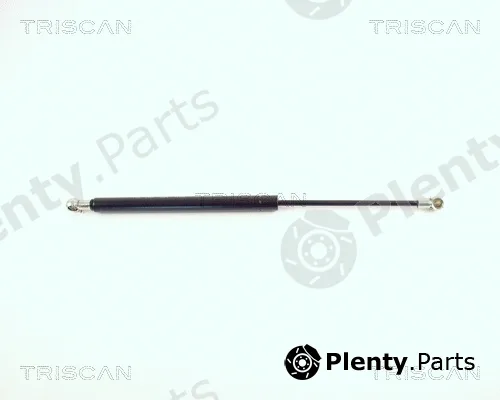 Kawe 87101002 — Gas Spring, boot/cargo area