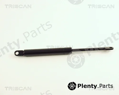 Kawe 871029228 — Gas Spring, boot/cargo area