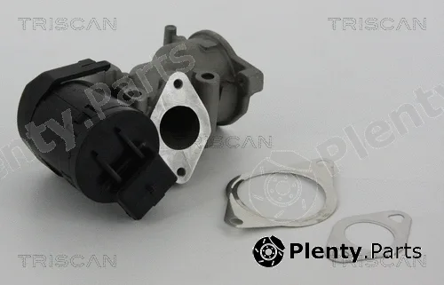 Kawe 881310001 — EGR Valve