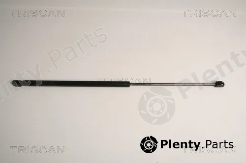 Kawe 871015239 — Gas Spring, boot/cargo area