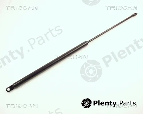 Kawe 87101507 — Gas Spring, boot/cargo area
