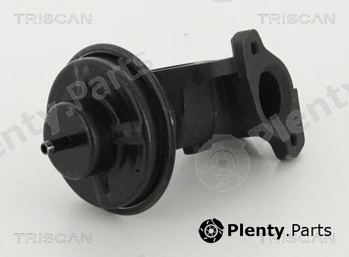 Kawe 881344020 — EGR Valve