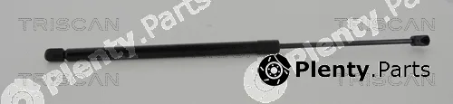 Kawe 871017221 — Gas Spring, boot/cargo area