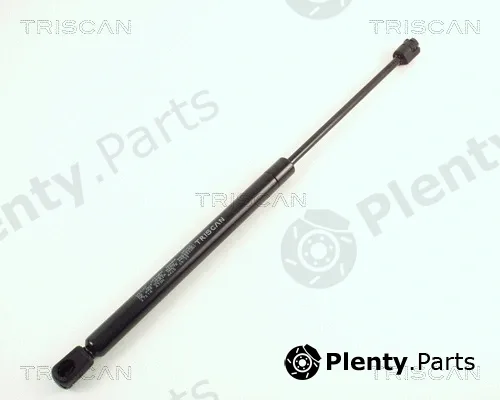 Kawe 871027214 — Gas Spring, boot/cargo area