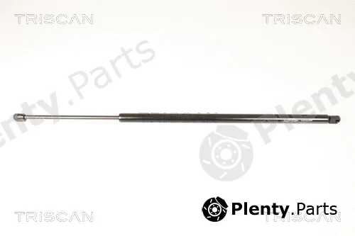 Kawe 871029295 — Gas Spring, boot/cargo area