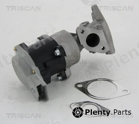 Kawe 881310008 — EGR Valve