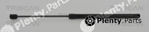 Kawe 8710292025 — Gas Spring, boot/cargo area