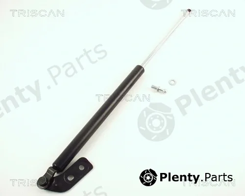Kawe 871050211 — Gas Spring, boot/cargo area