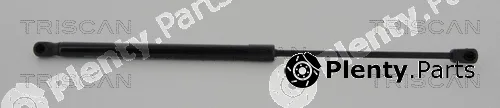 Kawe 871038234 — Gas Spring, boot/cargo area