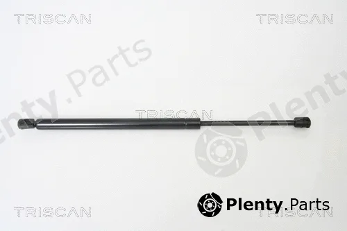 Kawe 871029254 — Gas Spring, boot/cargo area