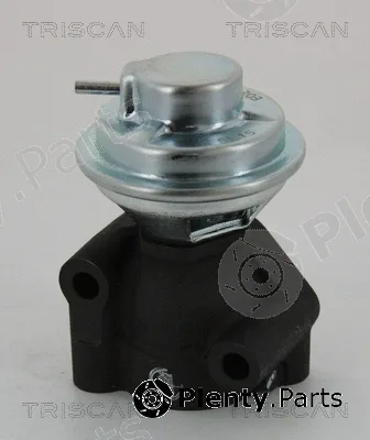 Kawe 881343040 — EGR Valve