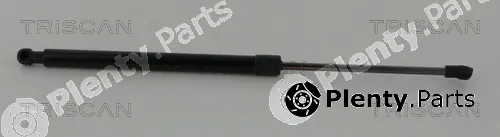 Kawe 871013295 — Gas Spring, boot/cargo area