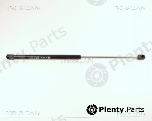 Kawe 871029207 — Gas Spring, boot/cargo area