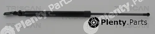 Kawe 871068218 — Gas Spring, boot/cargo area