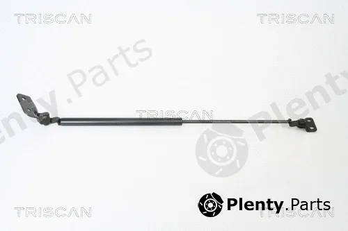 Kawe 871018221 — Gas Spring, boot/cargo area