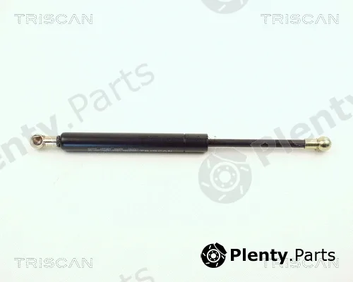 Kawe 87101009 — Gas Spring, boot/cargo area