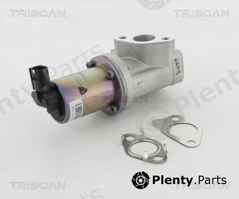 Kawe 881343021 — EGR Valve
