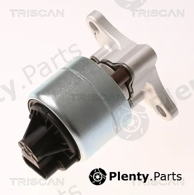 Kawe 881321026 — EGR Valve