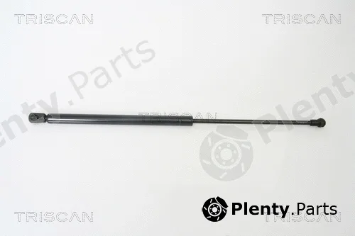 Kawe 871066202 — Gas Spring, boot/cargo area