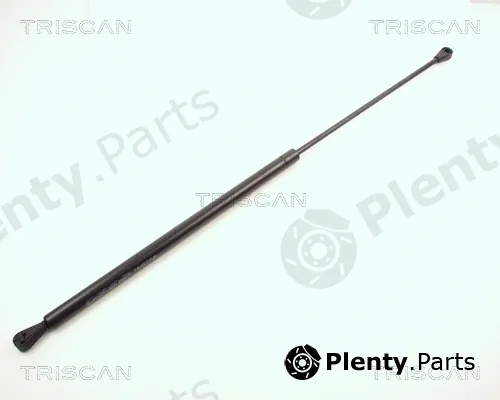 Kawe 87102504 — Gas Spring, boot/cargo area