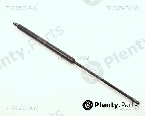 Kawe 87101012 — Gas Spring, bonnet