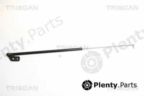 Kawe 871018209 — Gas Spring, boot/cargo area
