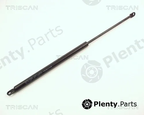 Kawe 87101511 — Gas Spring, boot/cargo area