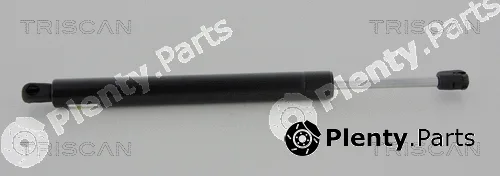 Kawe 871065210 — Gas Spring, boot/cargo area