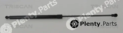 Kawe 871013294 — Gas Spring, boot/cargo area