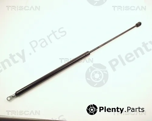 Kawe 87103811 — Gas Spring, boot/cargo area