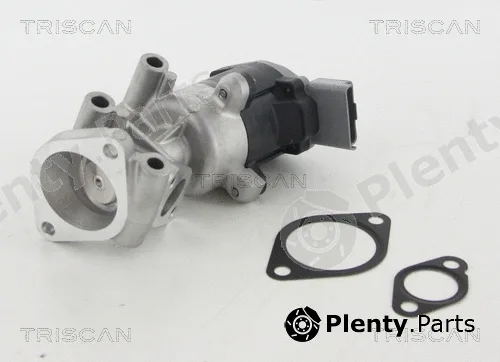 Kawe 881310009 — EGR Valve