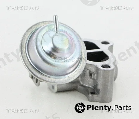 Kawe 881313065 — EGR Valve