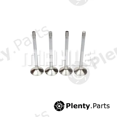 Mahle VE1961404 — Exhaust Valve