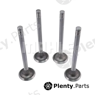 Mahle VE0700022 — Exhaust Valve