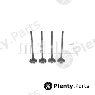 Mahle VE5511569 — Exhaust Valve